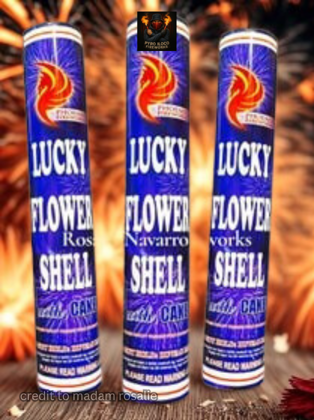 Phoenix Lucky flower shell w/ cake fountain